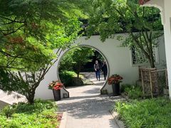 -上海醉白池公园