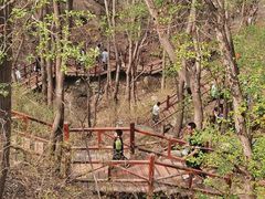 -大岭沟猕猴桃谷风景区