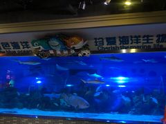 -成都浩海立方海洋公园