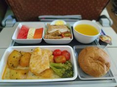 -新加坡航空公司(ION)
