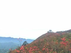-永州阳明山国家森林公园