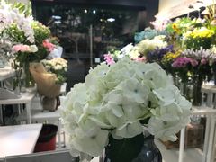 -花草间花行(法华镇路店)