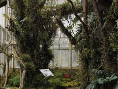 -昆明植物园
