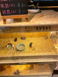 -造物庄园 萌宠纪(苏州湾歌林公园店)