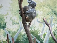 -广州长隆野生动物世界