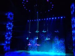 -水秀国际大剧院