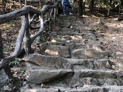 -梧桐山风景名胜区