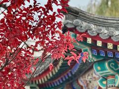 -西海子公园