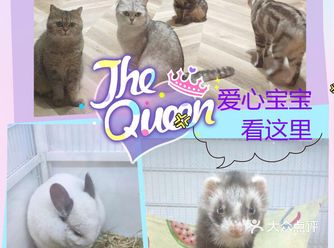 强烈推荐这家亲子乐园，增加亲子互动的同时
