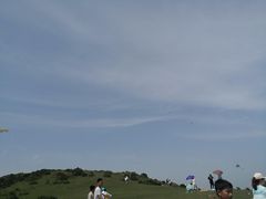 -大姆山草场