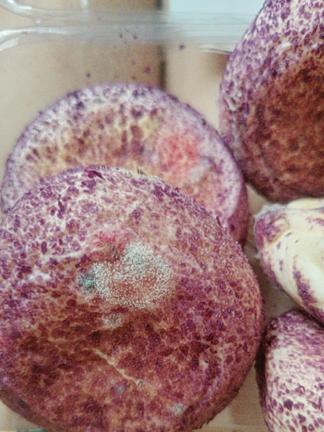 第2天早上紫薯烧就发霉了,保质期是三天店员也没有说怎么保存