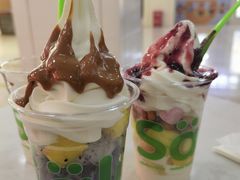 -Salud撒露欧洲冻酸奶(五道口购物中心店)