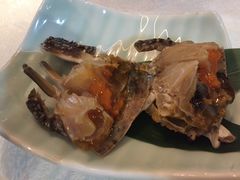 -渔娘渔家丹东海鲜(东直门店)