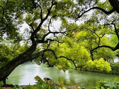 -西溪国家湿地公园