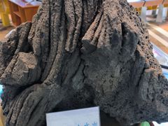 -海口火山口国家地质公园