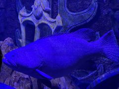 -波塞冬旅游度假区