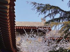 -西安市广仁寺