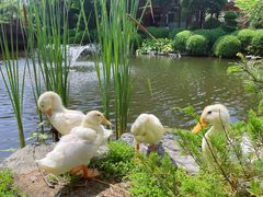 -熙古里艺术村