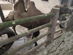 -昆明动物园