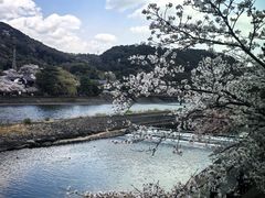-中村藤吉(本店)