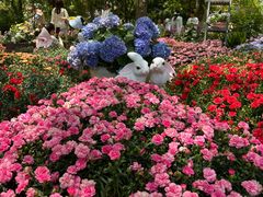 -上海鲜花港