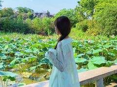 -广州莲花山旅游区