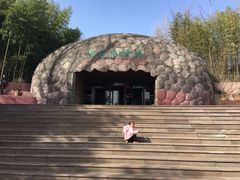 -中国西峡恐龙遗迹园