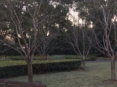 -徐家汇源景区-衡山公园