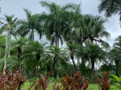 -人民公园(罗湖区)