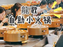 -龍歌自助小火锅(市南金茂湾店)