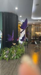 -苏州奥拉克美容医院