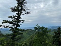 -莫干山风景区