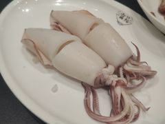 白灼鱿鱼-吴记富苑(朝阳店)