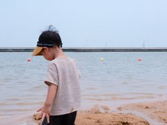 -碧海金沙