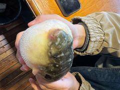 -永安鱼庄·镇江菜(丁卯店)