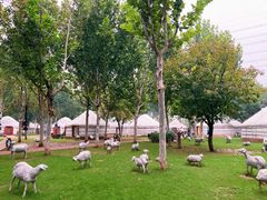 -九十九顶毡房(阜石路店)