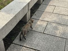 -即墨古城