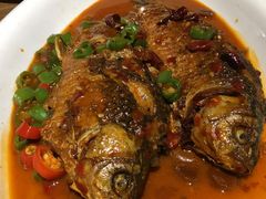 豆瓣鲫鱼-九头鹰家宴(岳家嘴店)