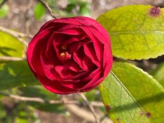 -上海吴淞炮台湾国家湿地公园