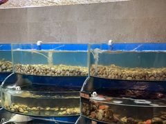 -蓝珊甄选海鲜自助·火锅大排档(近阿那亚店)
