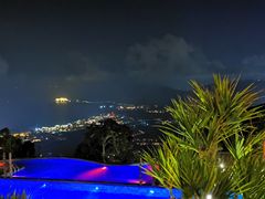-三亚亚龙湾人间天堂鸟巢度假村