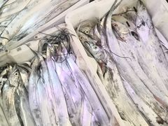 -众彩物流水产市场