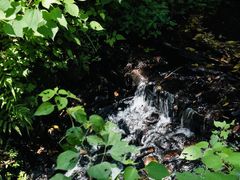 -杭州植物园