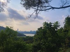 -深圳仙湖植物园