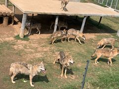 -南京金牛湖风景区