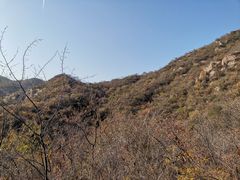 -大岭沟猕猴桃谷风景区