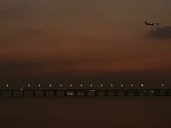 -宝安西湾红树林湿地公园