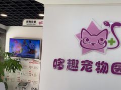 -哆趣宠物医院·眼科·内镜·急重症转诊中心(上海店)
