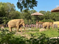 -沈阳森林动物园