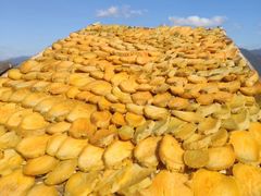 -楠溪江风景名胜区